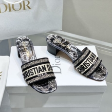 Christian Dior Slippers